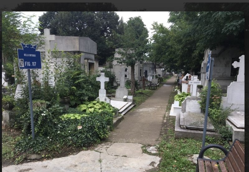 Cimitirul Bellu Bucuresti Anuntul Ro 2vz2y0